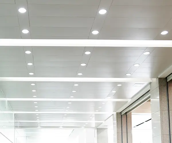 Rows of efficient lighting embedded in the ceiling of a business.