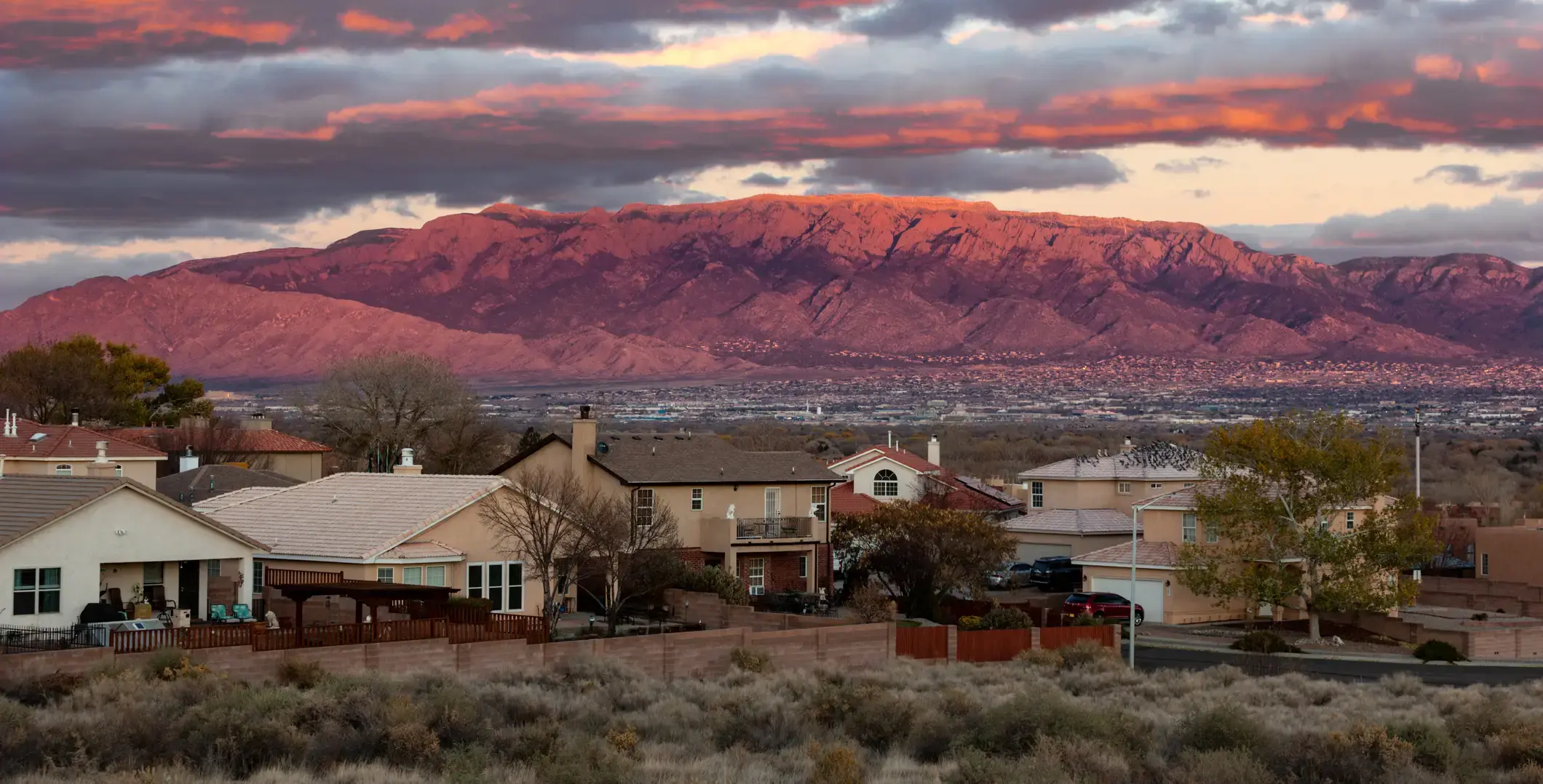 New Mexico Community